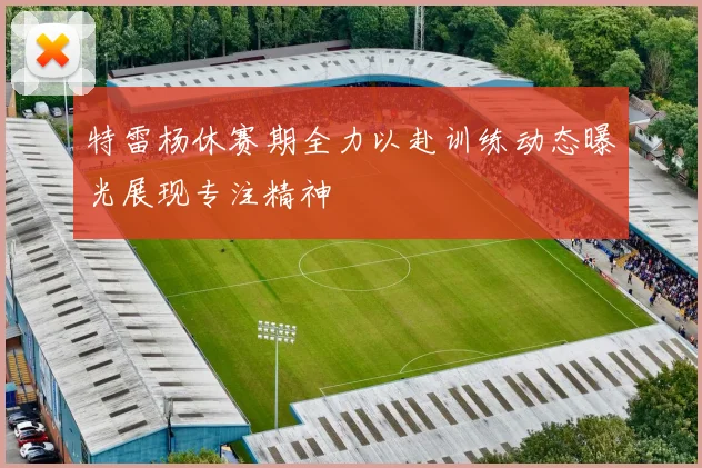 特雷杨休赛期全力以赴训练动态曝光展现专注精神