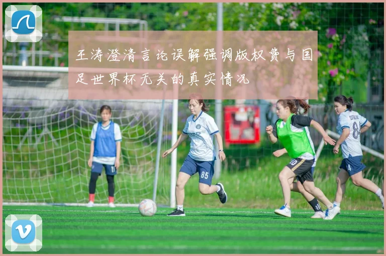 王涛澄清言论误解强调版权费与国足世界杯无关的真实情况
